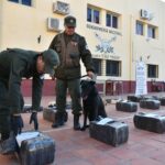 Un perro de Gendarmería detectó 1.400 kilos de marihuana en un camión que iba a Chile
