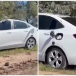 Encuentran muertos a un hombre y a una mujer dentro de un auto abandonado en San Antonio de Areco